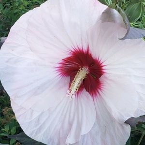 Meet your Posher, Kristina